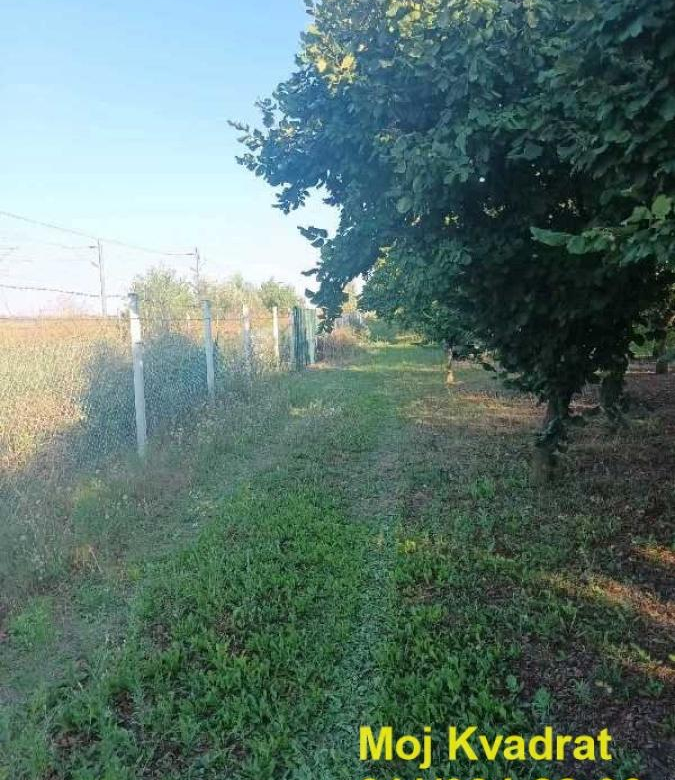 Plac Prodaja Stara Pazova Nova Pazova 0 m2