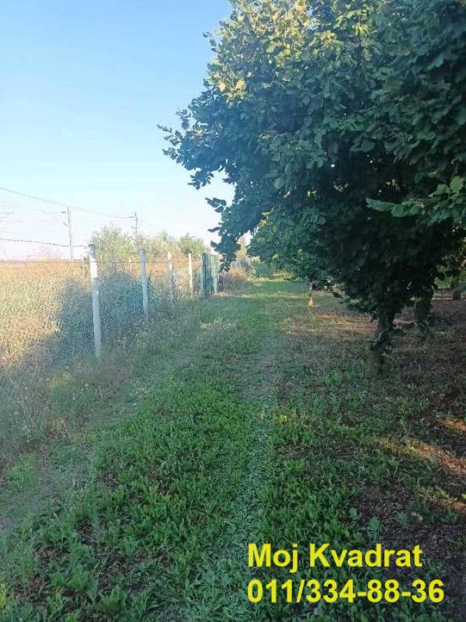 Plac Prodaja Stara Pazova Plac Prodaja Stara Pazova Nova Pazova 0 m2