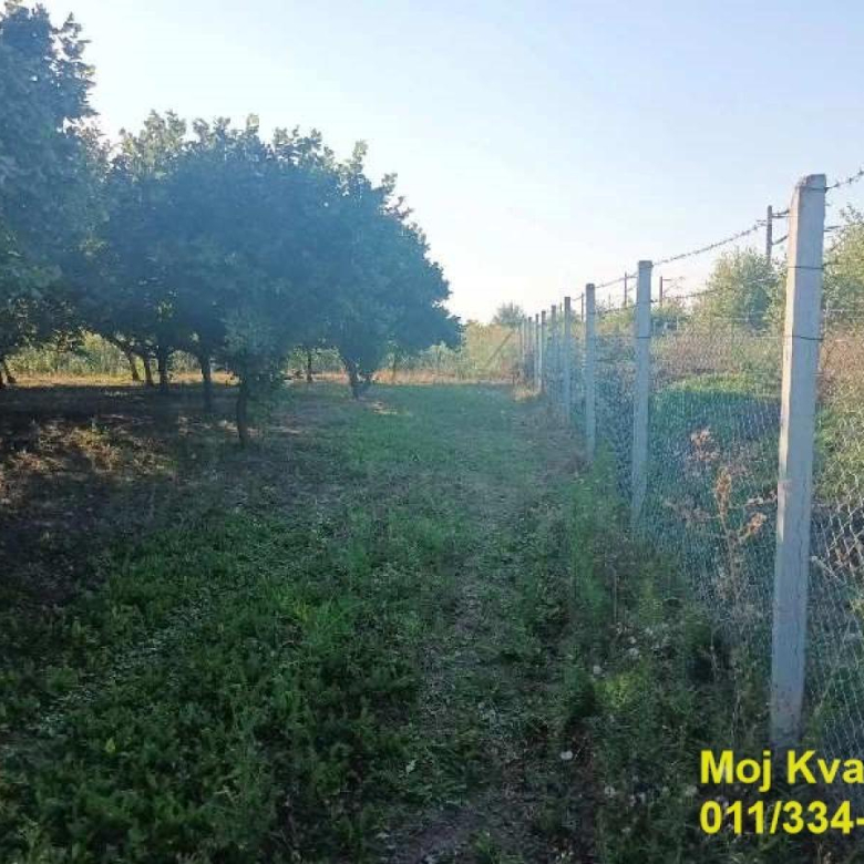 Plac Prodaja Stara Pazova Nova Pazova 0 m2