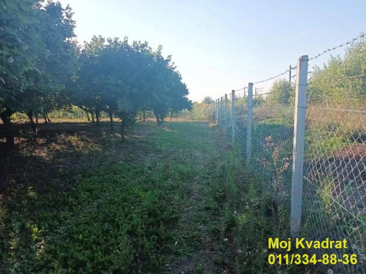 Plac Prodaja Stara Pazova Plac Prodaja Stara Pazova Nova Pazova 0 m2