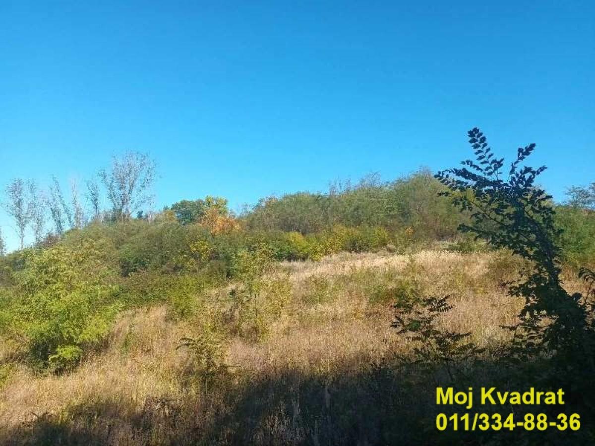 Plac Prodaja Smederevo Plac Prodaja Smederevo 0 m2