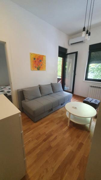 Stan Izdavanje Novi Sad  45 m2