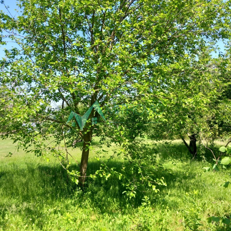 Kuća Prodaja Bačka Palanka  66 m2
