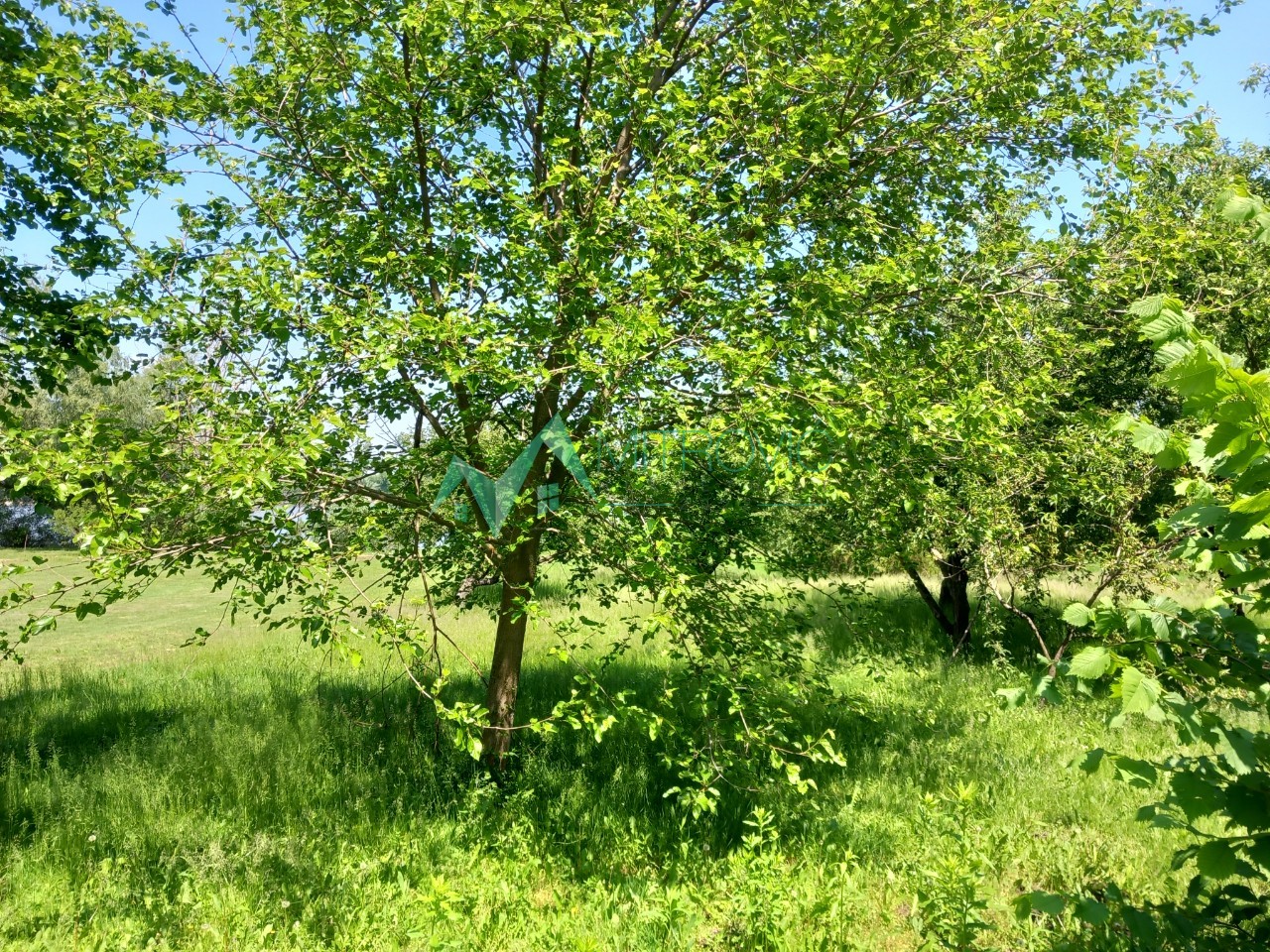 Kuća Prodaja Bačka Palanka Kuća Prodaja Bačka Palanka 66 m2