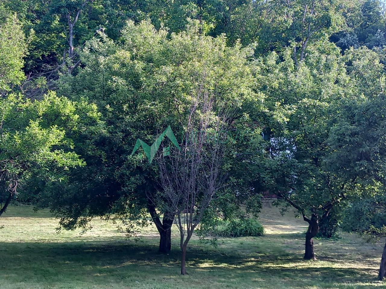 kuce-baCka-palanka-3000261-vvtcb Kuća na prodaju, Bačka Palanka, 66m², 73.000 €