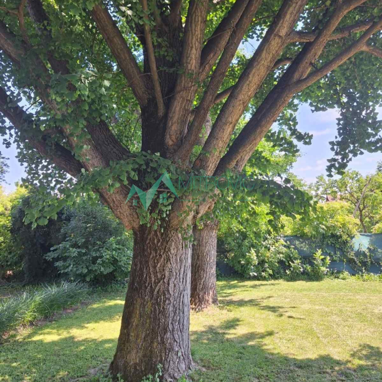 STAMBENO-POSLOVNI OBJEKAT U CENTRU BEGEČA – IDEALAN ZA RESTORAN, SALU ZA PROSLAVE I SVADBENE SVEČANOSTI