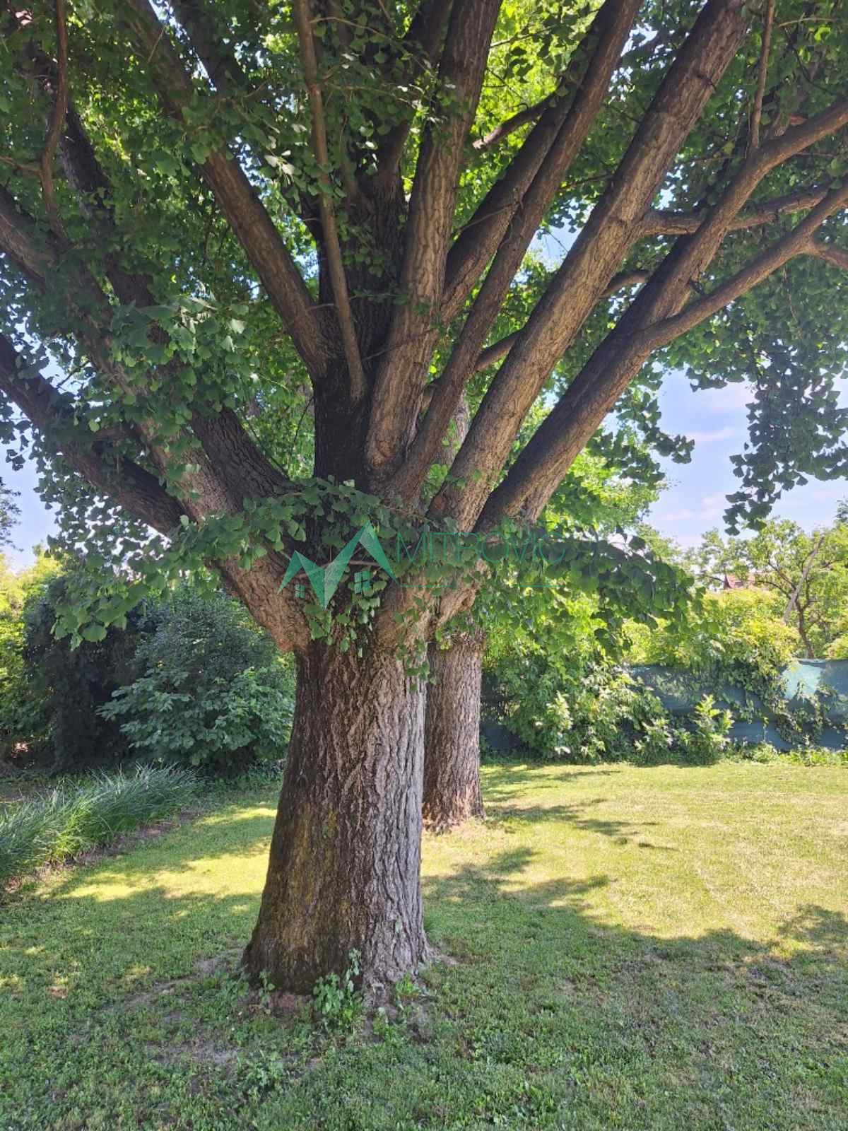 kuce-begeC-3000257-gvgfs STAMBENO-POSLOVNI OBJEKAT U CENTRU BEGEČA – IDEALAN ZA RESTORAN, SALU ZA PROSLAVE I SVADBENE SVEČANOSTI