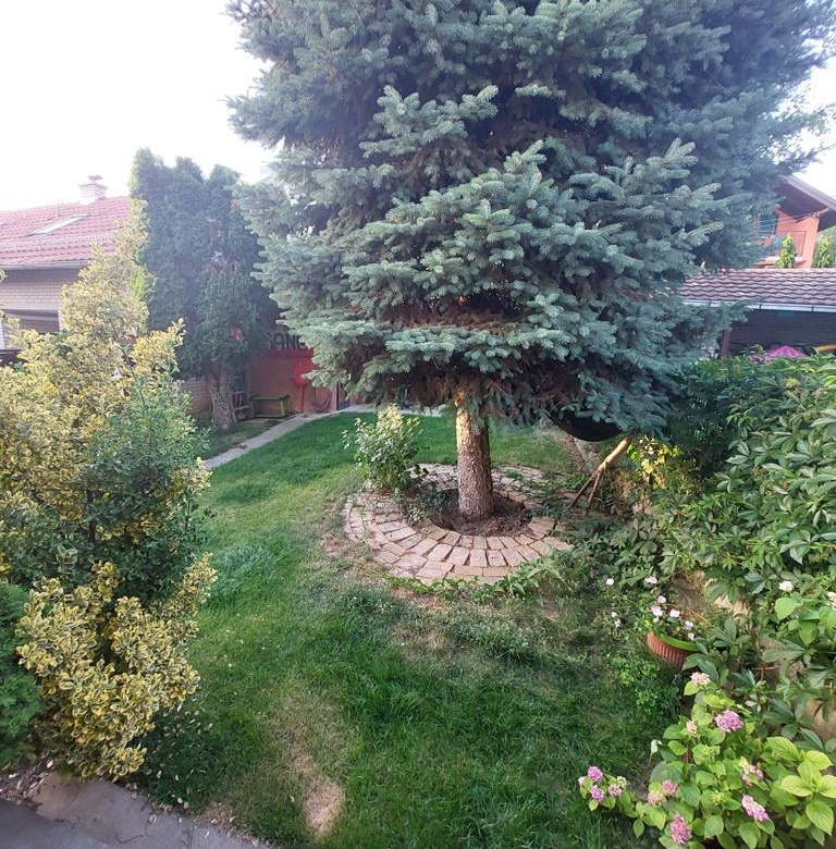 Kuća Prodaja Novi Sad  230 m2