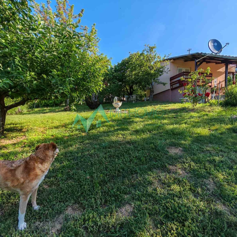 Velika Remeta, vikend kuća na fantastičnom placu !