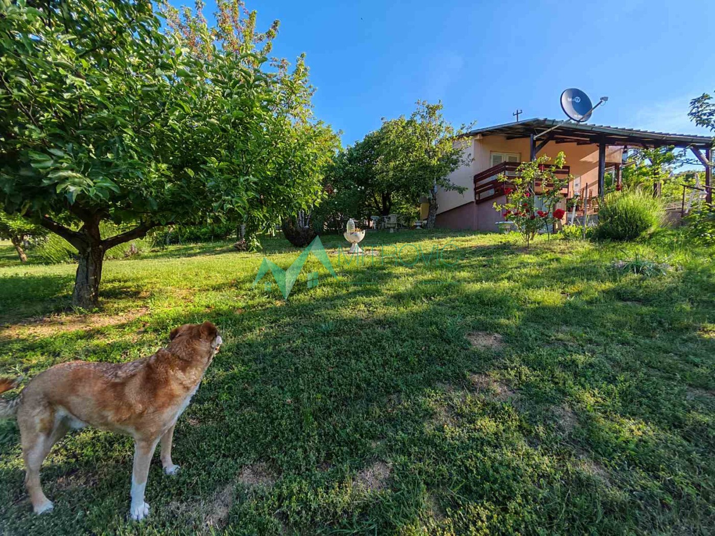 Velika Remeta, vikend kuća na fantastičnom placu !