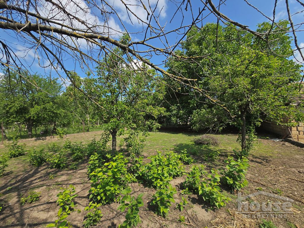 Kuća na prodaju, Zmajevo, Vrbas, 255m², Prizemlje, 156.000 €