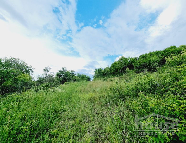 Plac Prodaja Novi Sad  8470 m2