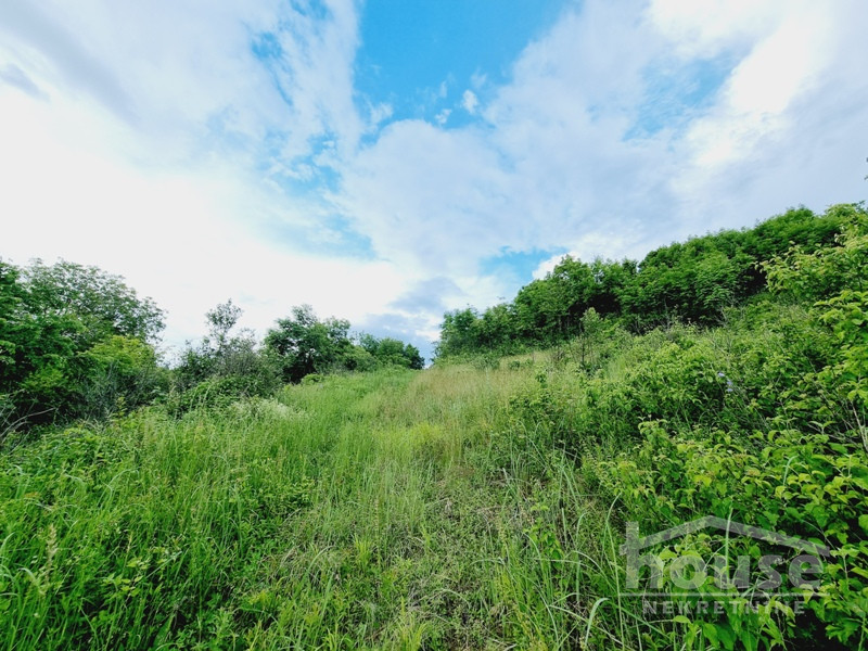 Plac Prodaja Novi Sad Plac Prodaja Novi Sad 8470 m2