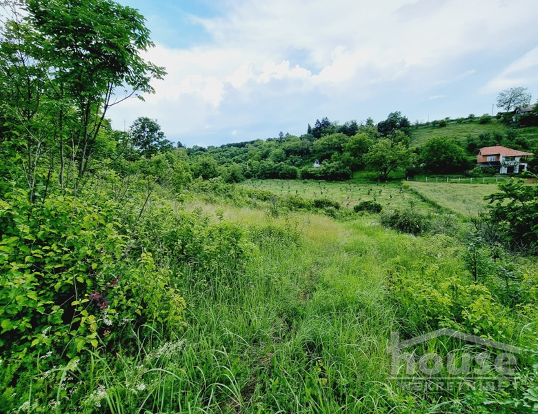 Plac Prodaja Novi Sad  8470 m2