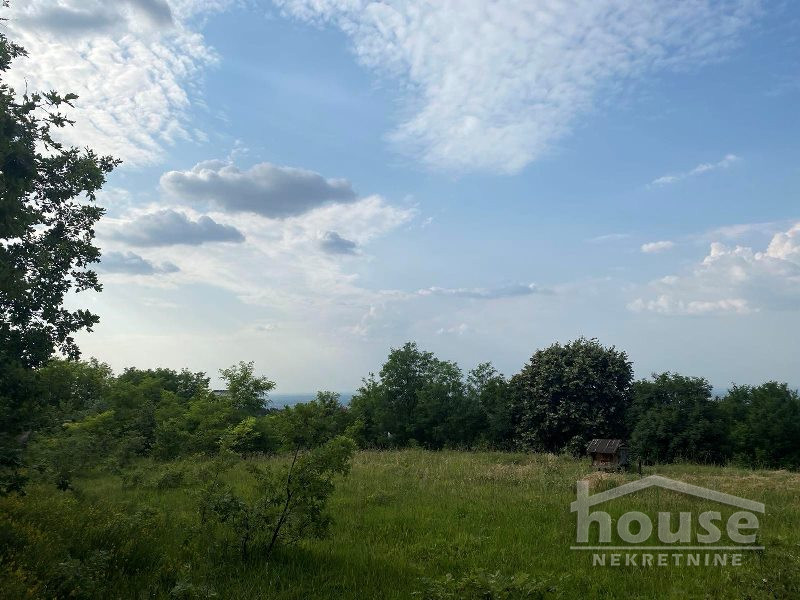Plac Prodaja Novi Sad  13400 m2