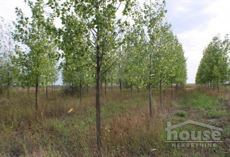 Plac Prodaja Novi Sad  135000 m2