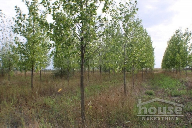 Plac Prodaja Novi Sad  135000 m2