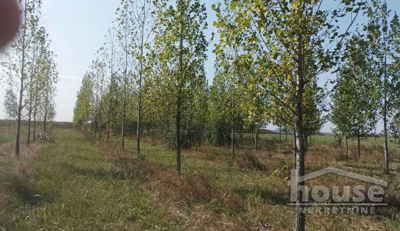 Plac Prodaja Novi Sad  135000 m2