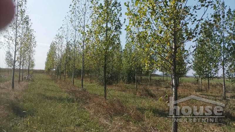 Plac Prodaja Novi Sad  135000 m2