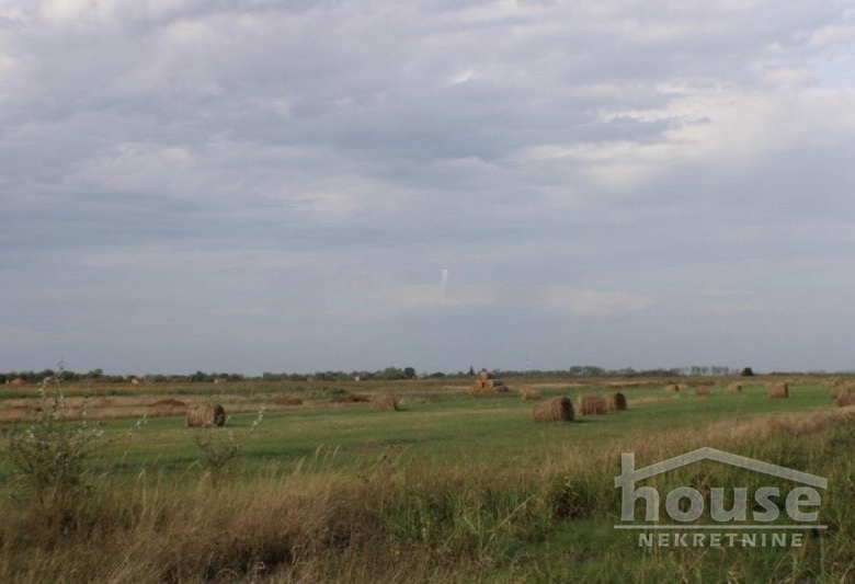 Plac Prodaja Novi Sad  135000 m2