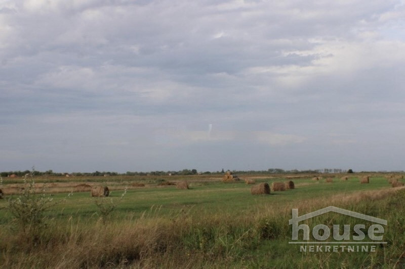 Plac Prodaja Novi Sad  135000 m2