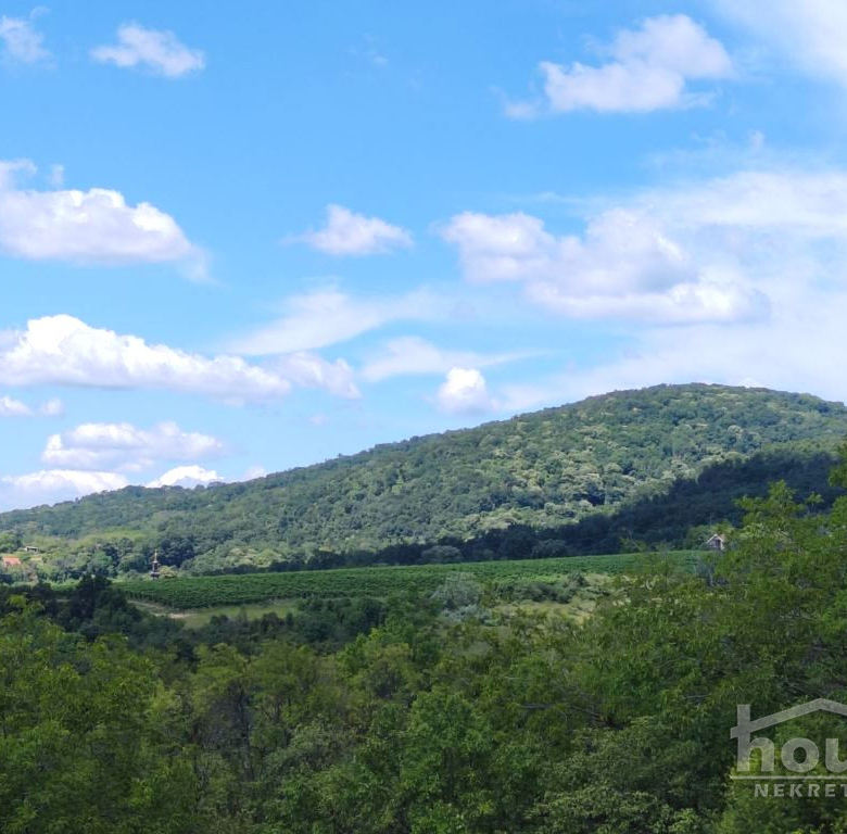 Plac Prodaja Novi Sad  5050 m2
