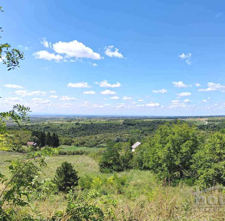 Plac Prodaja Novi Sad  5050 m2