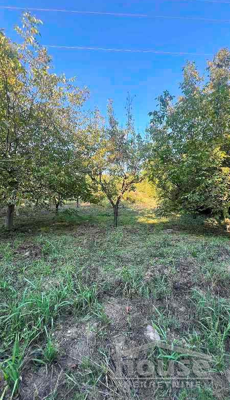 Plac Prodaja Novi Sad  1145 m2