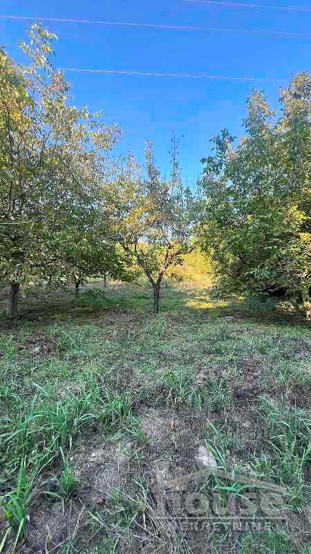 Plac Prodaja Novi Sad  1145 m2