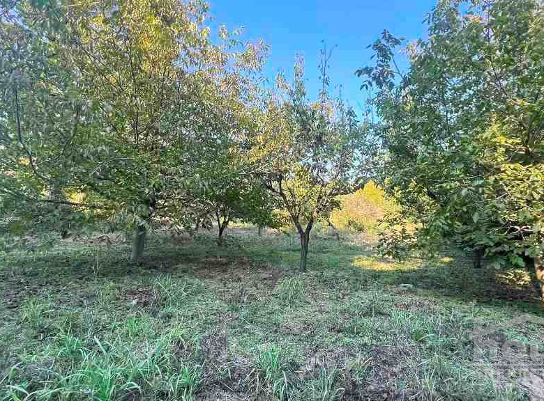 Plac Prodaja Novi Sad  1145 m2