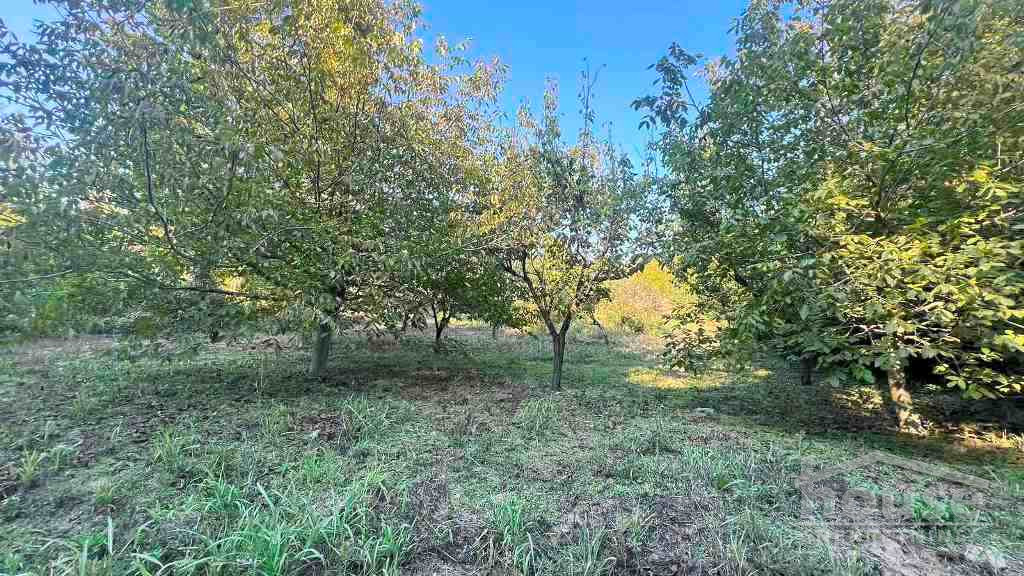 Plac Prodaja Novi Sad  1145 m2