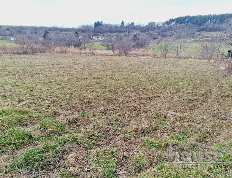 Plac Prodaja Novi Sad  6820 m2