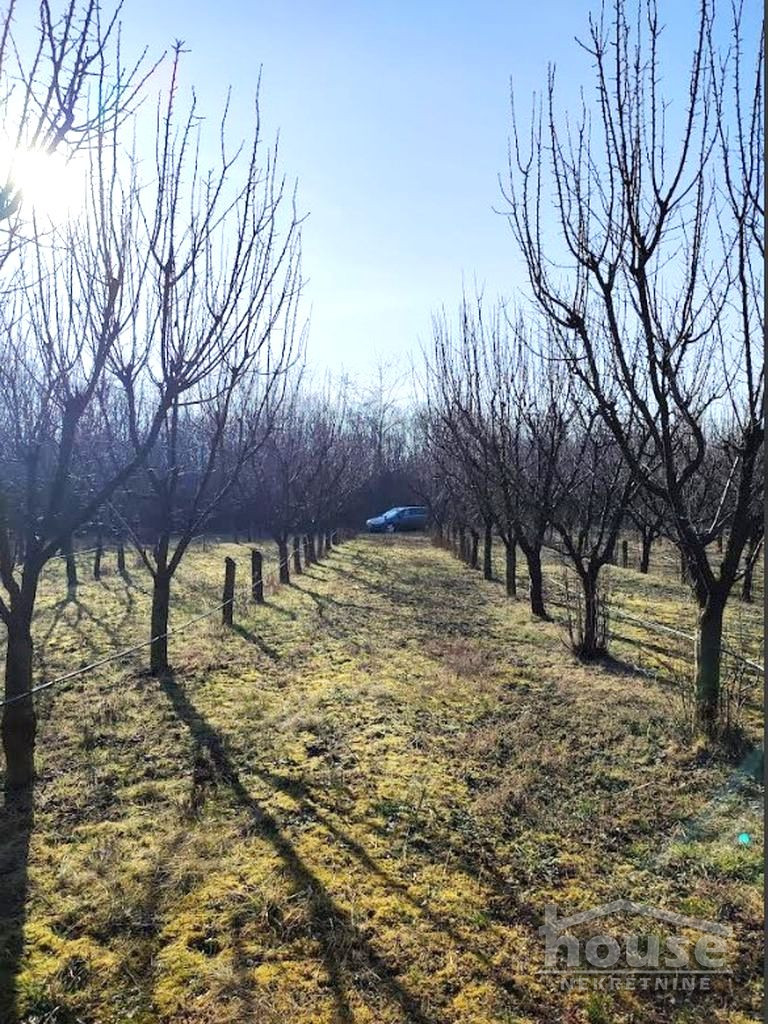 Plac Prodaja Novi Sad Plac Prodaja Novi Sad 11019 m2
