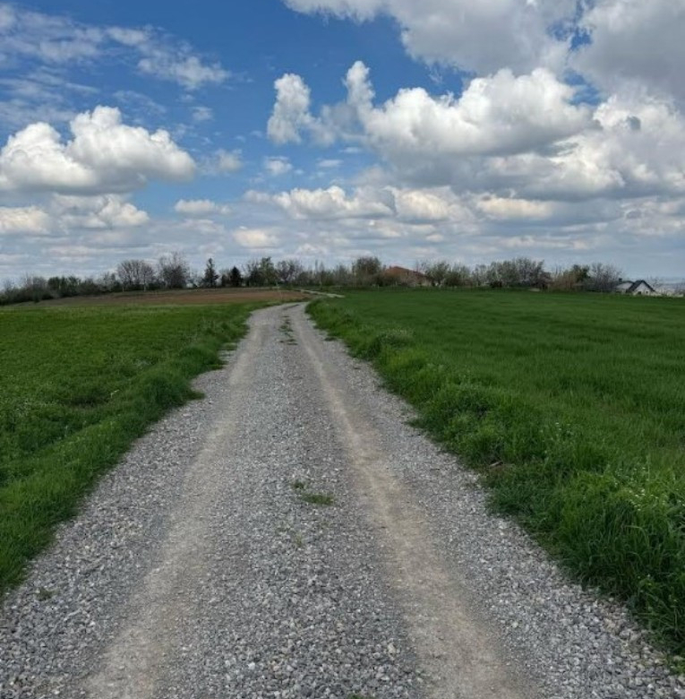Plac Prodaja Novi Sad  1438 m2