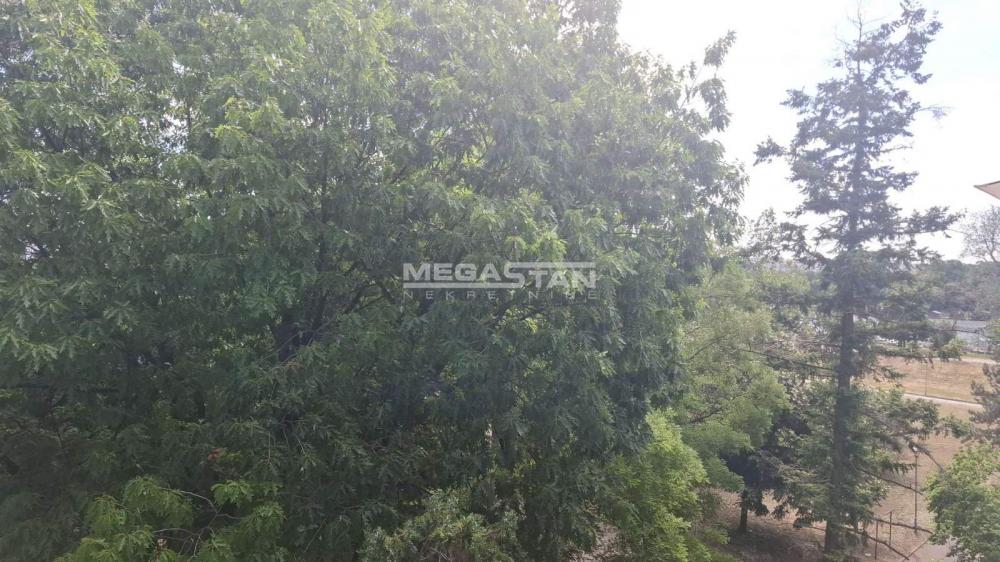 108099464-6-20260529113315 Dvosoban stan na prodaju, Blok 45, Beograd, 66m², 209.900 €