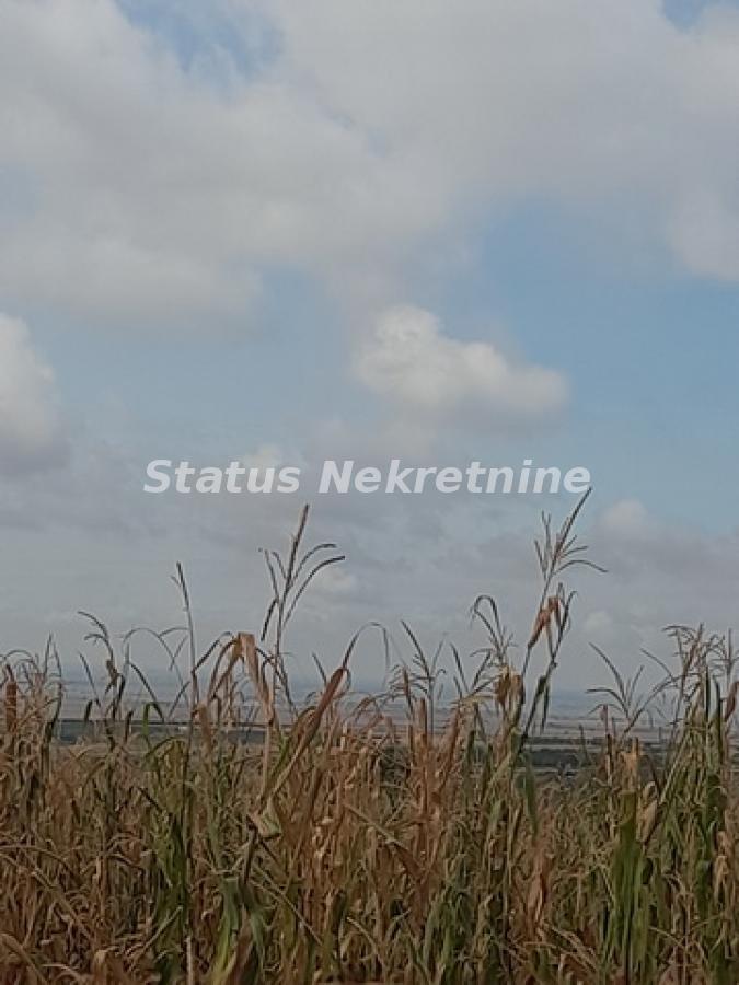 actionimagesite31agencystatusimg6hm3thxubg-20230831-103043-resize Plac na prodaju, Vrdnik, Irig, 108 ari, 333.720 €