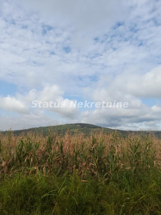 actionimagesite31agencystatusimgn2fcostw6s-20230831-102940-resize Plac na prodaju, Vrdnik, Irig, 108 ari, 333.720 €