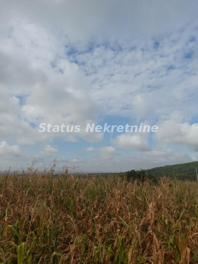 actionimagesite31agencystatusimgrqa4xp54vs-20230831-103018-resize Plac na prodaju, Vrdnik, Irig, 108 ari, 333.720 €