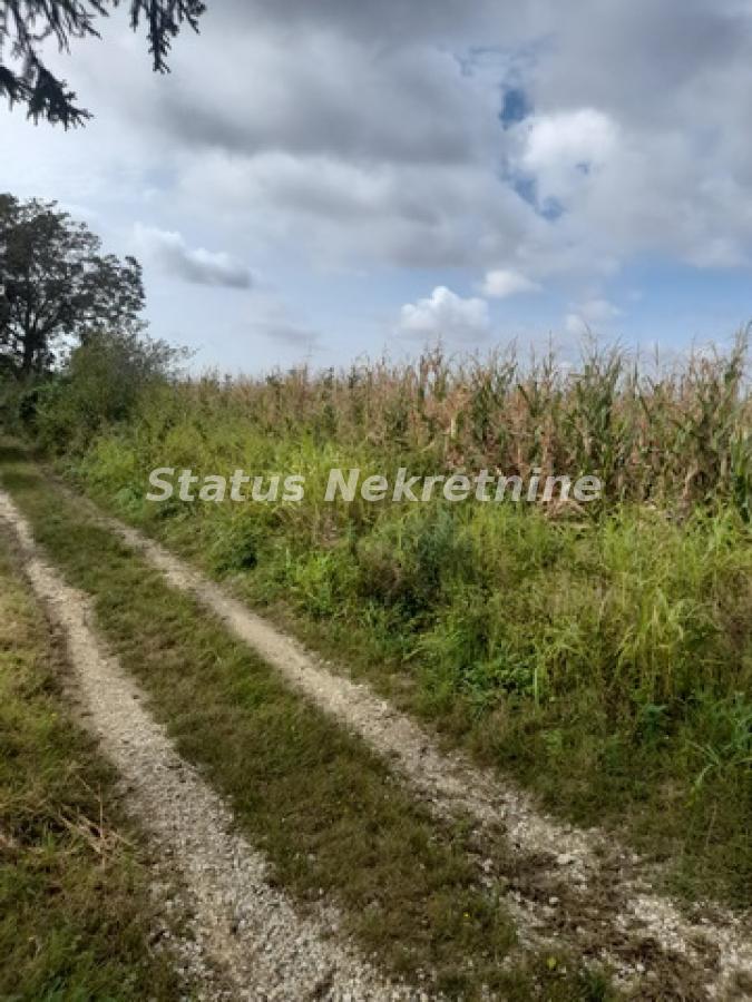 actionimagesite31agencystatusimgt5hpi3dawg-20230831-102945-resize Plac na prodaju, Vrdnik, Irig, 108 ari, 333.720 €