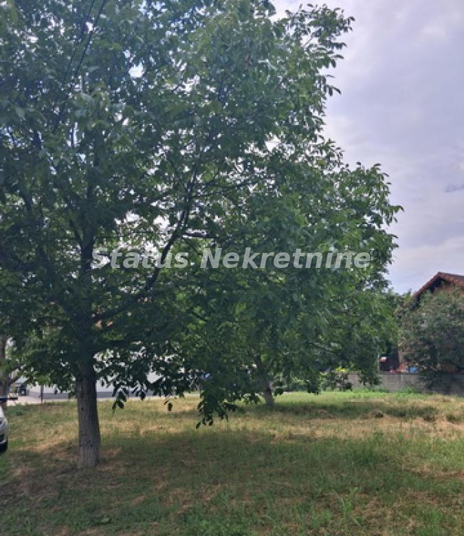 Plac Izdavanje Novi Sad  0 m2