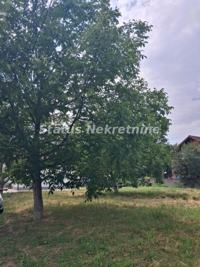 Plac Izdavanje Novi Sad  0 m2
