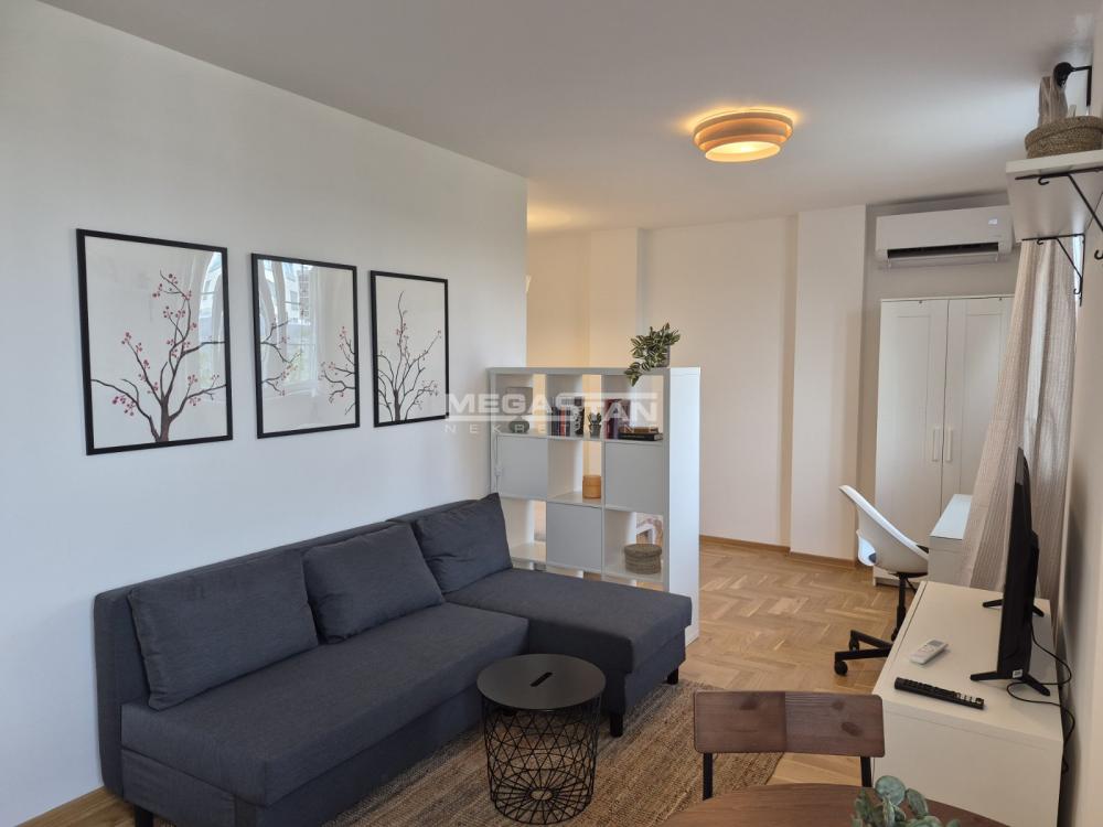 Stan Izdavanje Beograd Pravni Fakultet - Vračar 30 m2