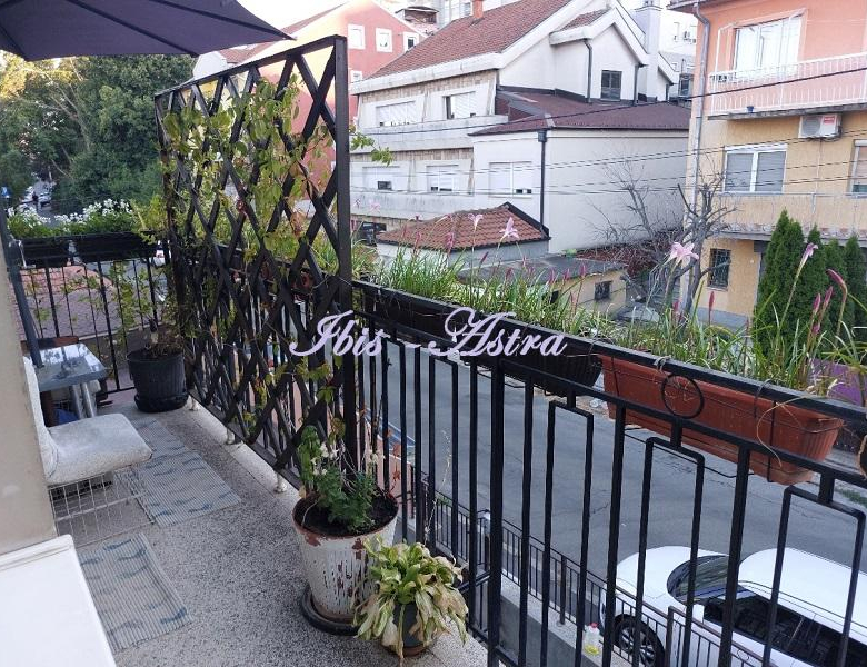 Stan Izdavanje Beograd Vojvode Stepe 54 m2