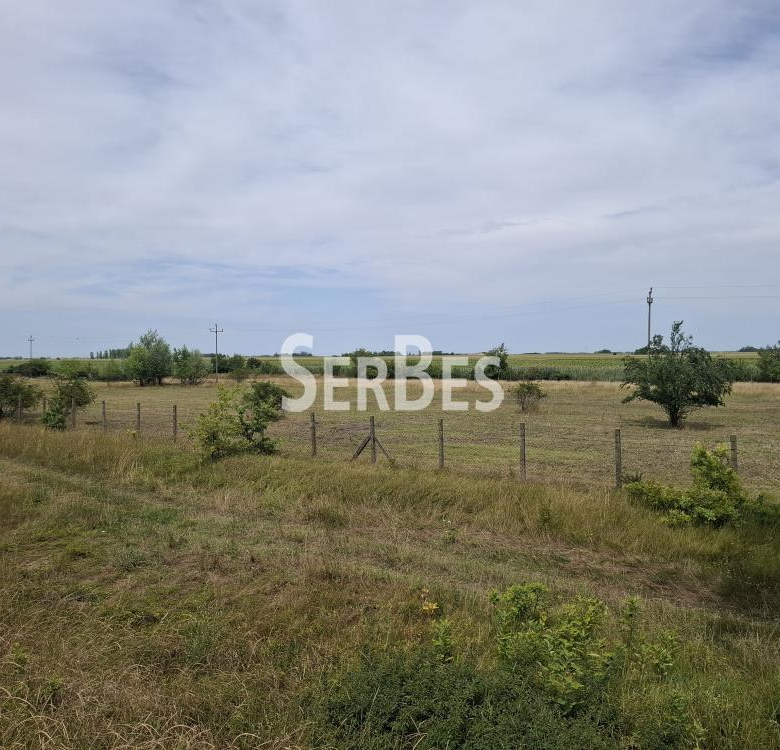 Poljoprivredno zemljište 16197 m², u blizini aerodroma Čenej ID#1856.