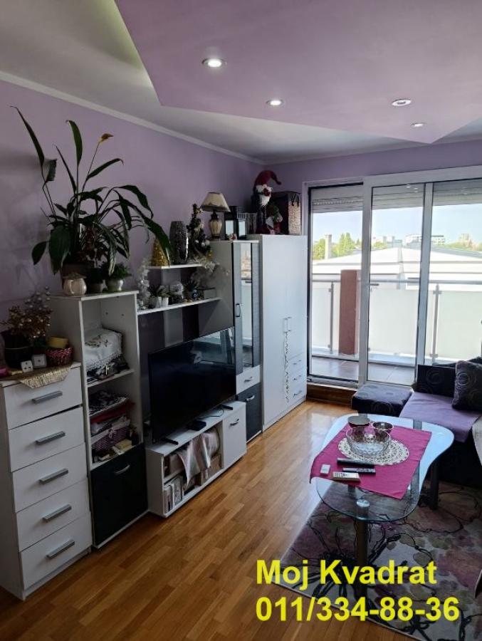 actionimagesite31agencykvadratimgcqet8bkrth-2 Jednoiposoban stan na prodaju, Stepa Stepanović, Beograd, 46m², 169.500 €