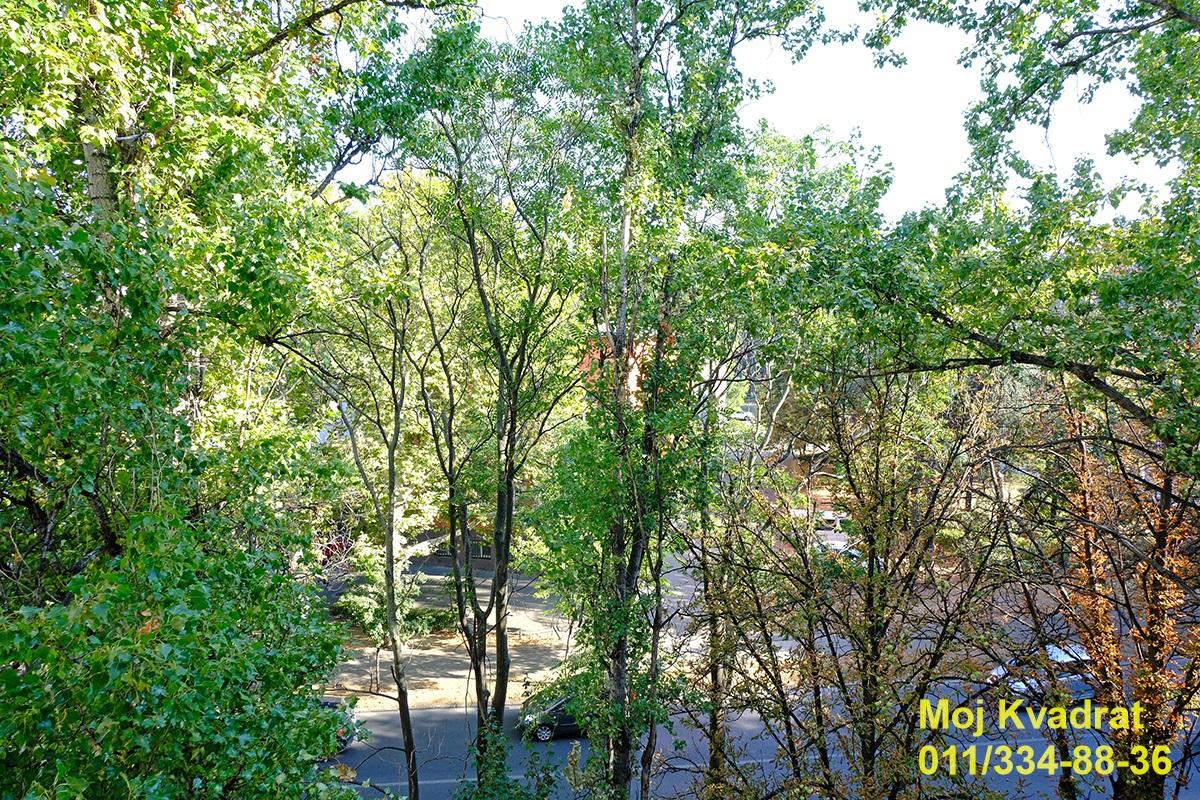 actionimagesite31agencykvadratimge4fsck0es2-9 Dvosoban stan na prodaju, Hala Pionir, Beograd, 46m², 224.000 €
