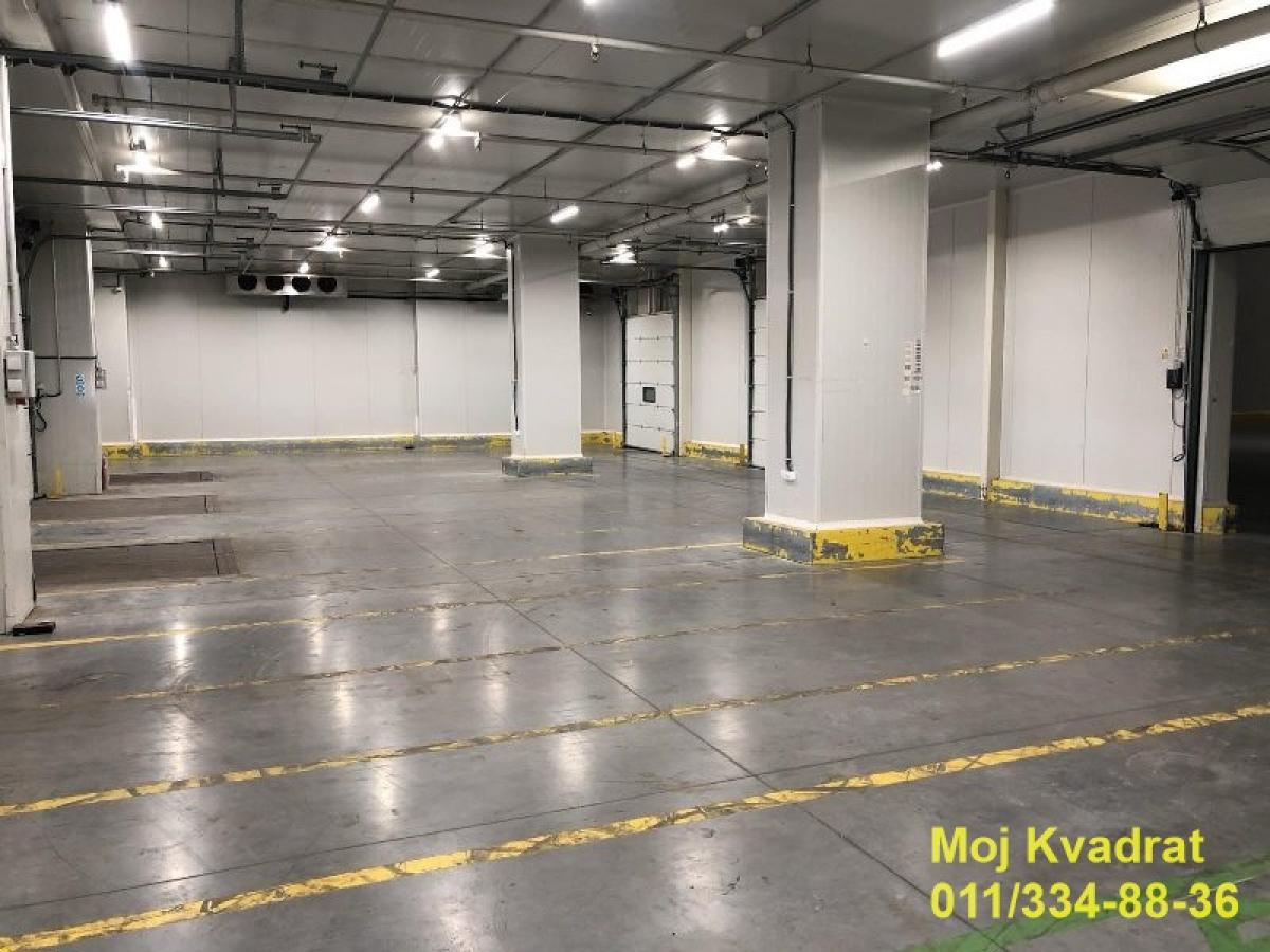 actionimagesite31agencykvadratimgnf8vqwr2kj-viber-image-2023-10-23-15-29-47-3 Lokal za izdavanje, Novi Banovci, Stara Pazova, 2210m², Prizemlje, 18.000 €/mes