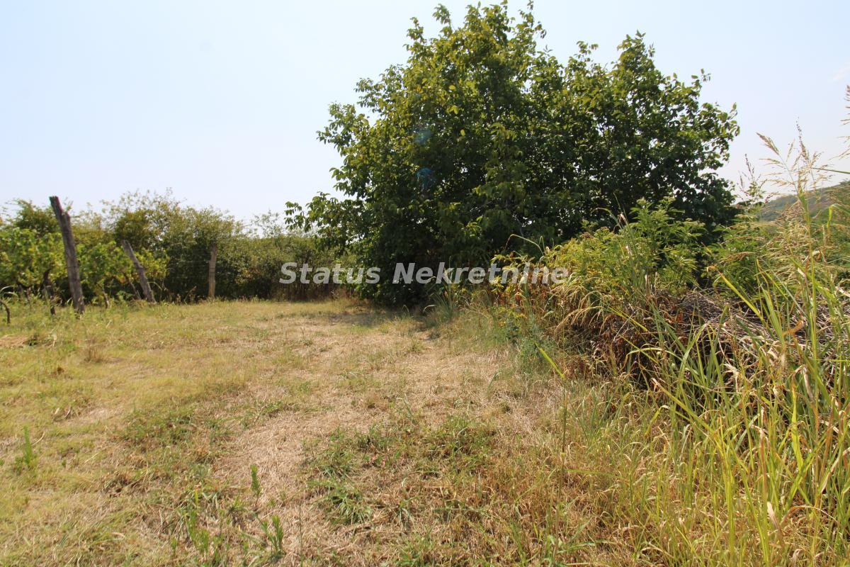 Plac na prodaju, Beočin, 45,02 ari, 23.000 €