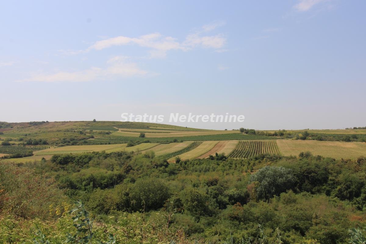Plac na prodaju, Beočin, 45,02 ari, 23.000 €