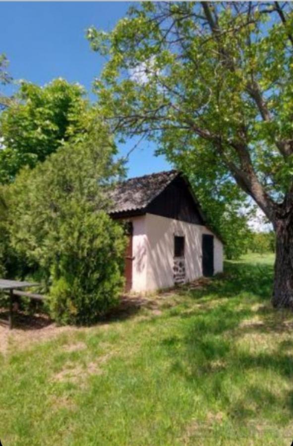 Plac na prodaju, Krstašice, Irig, 138,54 ari, 220.000 €